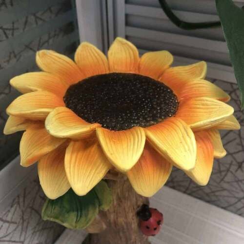 Sunflower bath