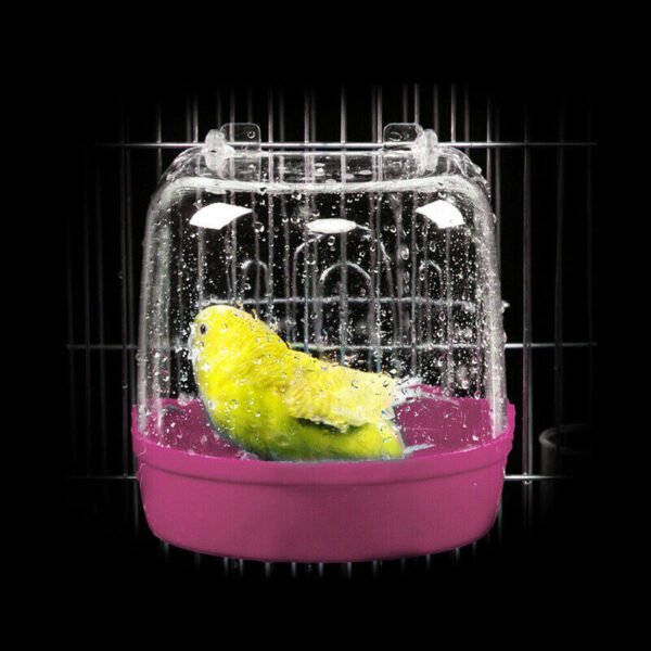 Purple bird bath with cage