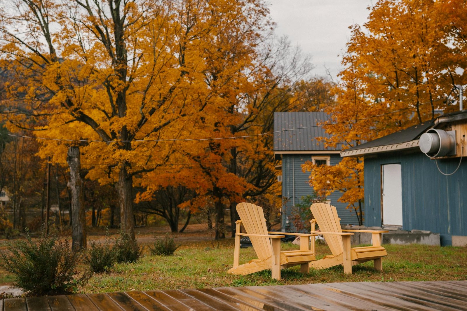 wooden loungers in yard of house next to park in daytime